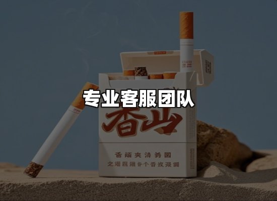 专业优势